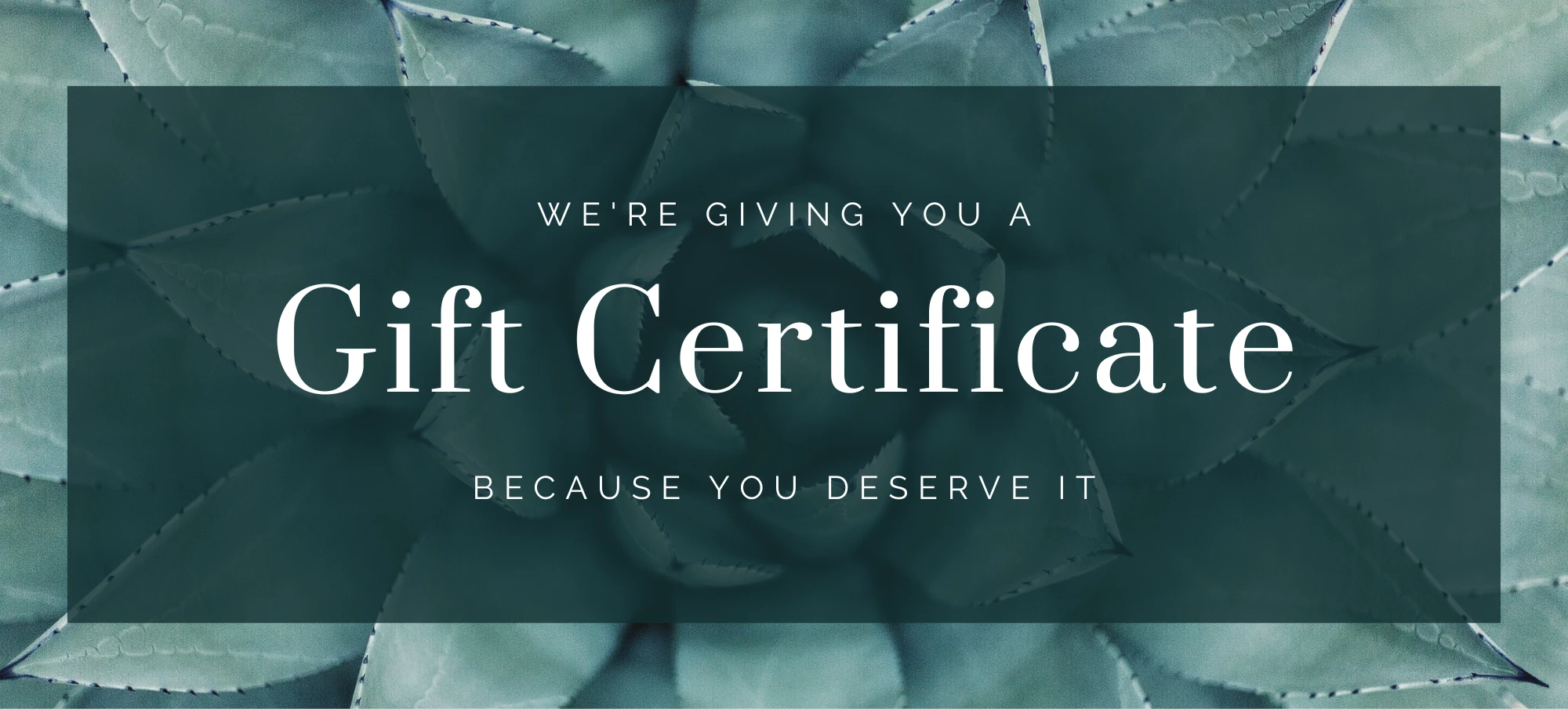 Gift Voucher Gift Voucher